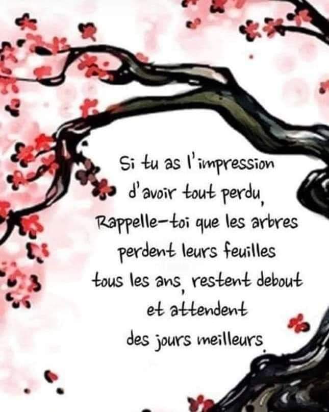 🌍 Le monde où l’argent s’envole (et où les gens&nbsp;s’épuisent)