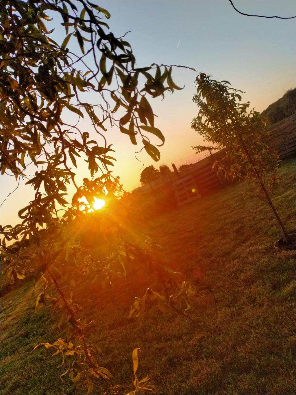 Con-Prendre, se Part-Donner…