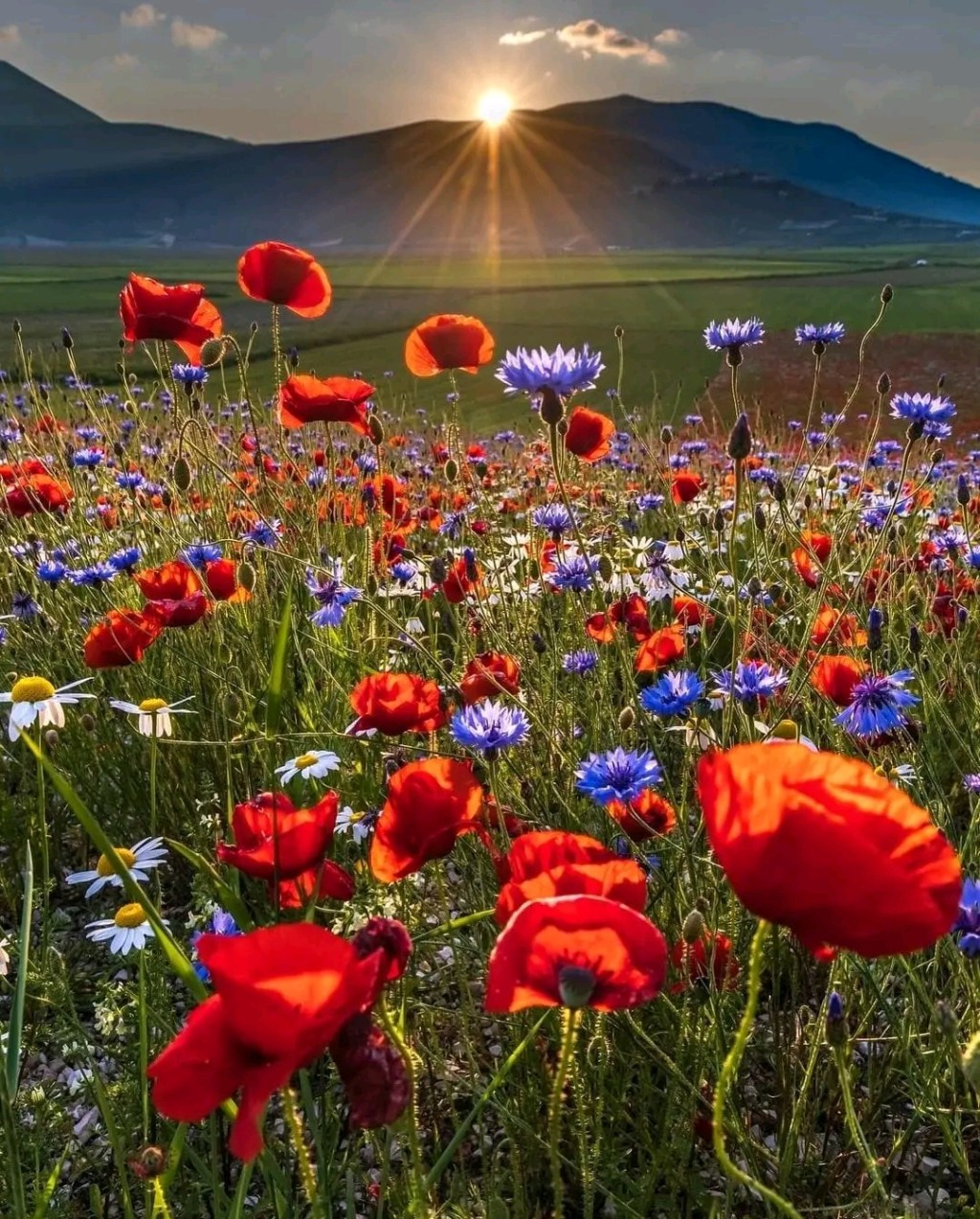 A la découverte des Odes de&nbsp;Salomon…