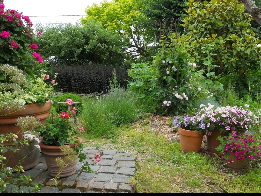 Jardin Je ne vie Eve.