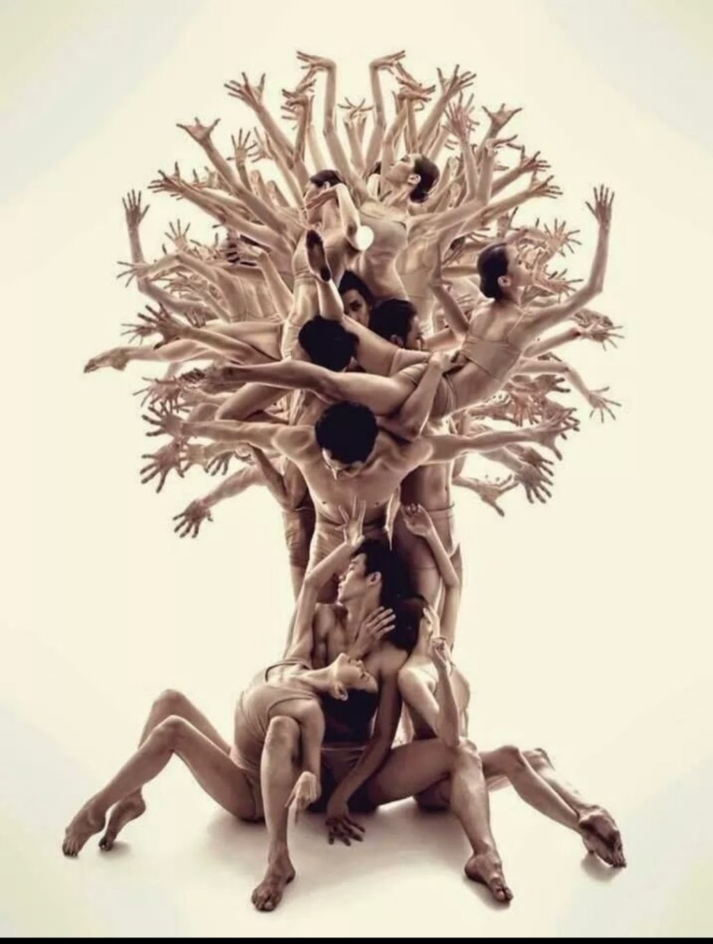 La Marche du Souffle – 形氣行功 / Xing Qi&nbsp;Gong.