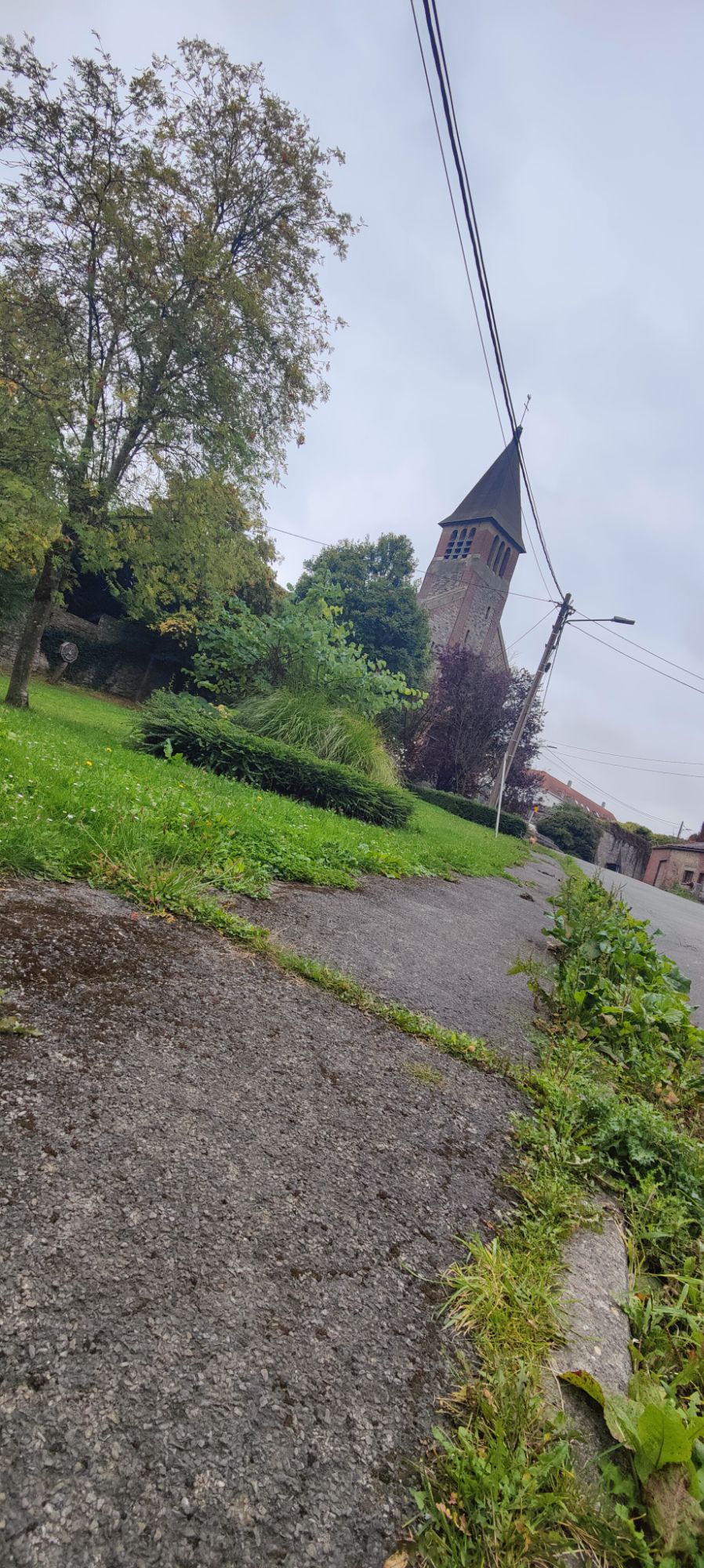 🌌 Fractal du Christ&nbsp;Vivant